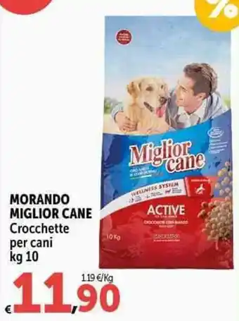 Carrefour Market MORANDO MIGLIOR CANE Crocchette per cani kg 10 offerta