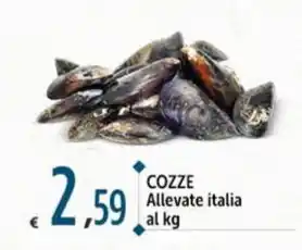 Carrefour Market COZZE Allevate italia al kg offerta