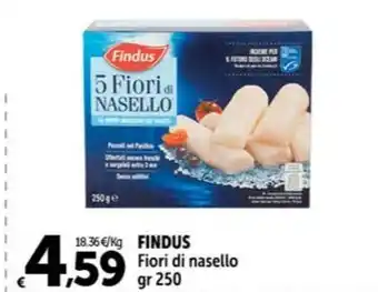 Carrefour Market FINDUS Fiori di nasello gr 250 offerta