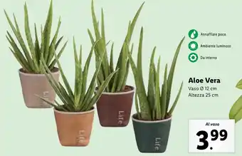 Lidl Aloe Vera offerta