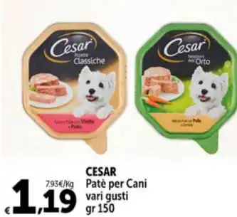 Carrefour Market CESAR Patè per Cani vari gusti gr 150 offerta
