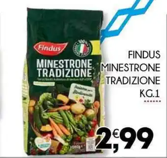 Enne Market FINDUS MINESTRONE TRADIZIONE KG.1 offerta