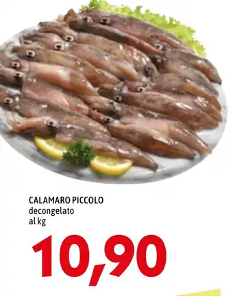 MEGA CALAMARO PICCOLO decongelato offerta