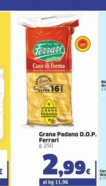 Sigma Orogel Cuor Di Forma Grana Padano DOP 250 G offerta