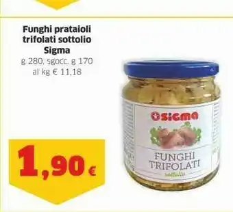 Sigma Sigma Funghi Prataioli Trifolati Sottolio offerta
