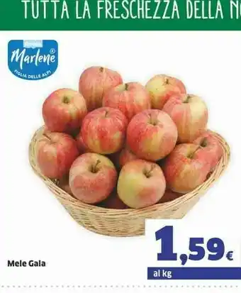 Sigma Mele Gala offerta