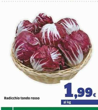Sigma Radicchio Tondo Rosso offerta