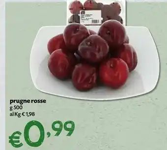 Prugne Rosse
