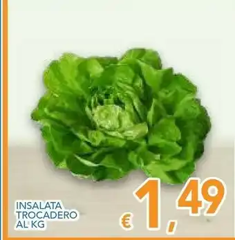 Vivo Supermercati Insalata Trocadero