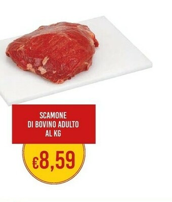 Docks Cash&Carry Scamone Di Bovino Adulto offerta