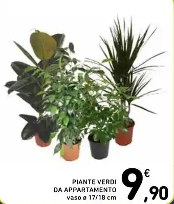 Spazio Conad PIANTE VERDI DA APPARTAMENTO vaso ø 17/18 cm offerta