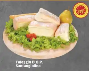 Taleggio D.O.P. Santangiolina