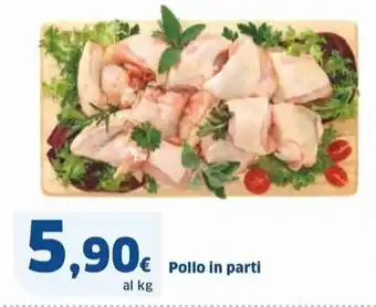 Sigma Pollo in parti offerta
