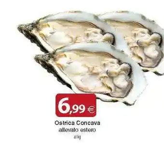 Docks Market Ostrica Concava Allevato Estero offerta