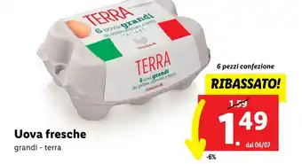 Lidl Uova fresche grandi - terra 6 pezzi confezione offerta