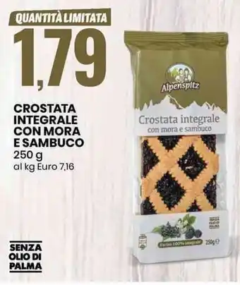 CROSTATA INTEGRALE CON MORA E SAMBUCO 250 g