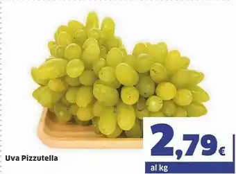 Sigma Uva offerta