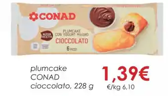 Conad plumcake CONAD cioccolato, 228 g offerta