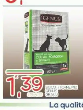 Genus Biscotti Cane
