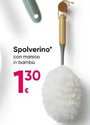 Spolverino Con Manico In Bambù