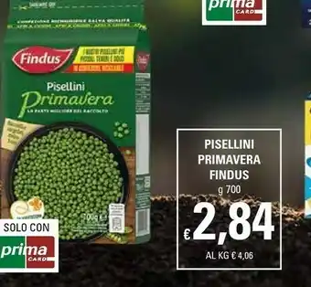 Basko Findus Piselli offerta