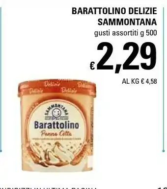 Basko Sammontana Gelato offerta