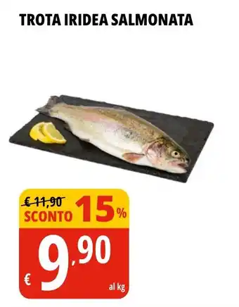 TROTA IRIDEA SALMONATA
