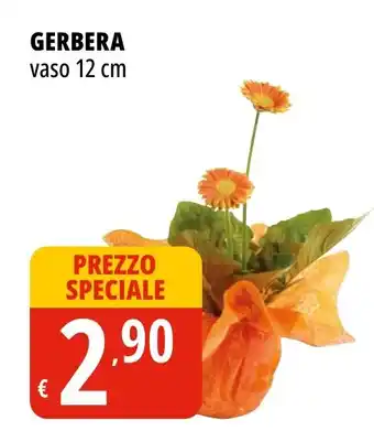 Tigros GERBERA vaso 12 cm offerta