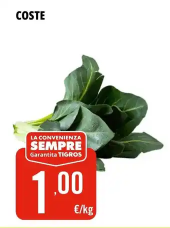 Tigros COSTE offerta