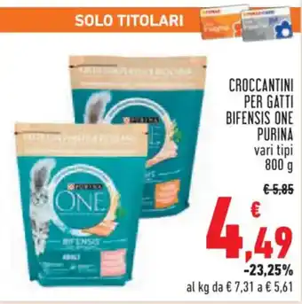 Conad Superstore CROCCANTINI PER GATTI BIFENSIS ONE PURINA vari tipi 800 g offerta