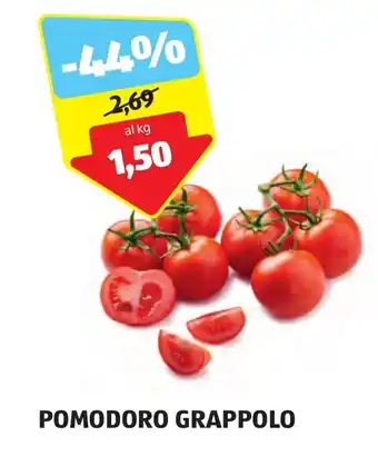 ALDI POMODORO GRAPPOLO offerta
