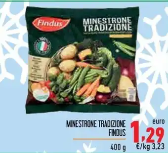 Maxi Supermercati MINESTRONE TRADIZIONE FINDUS 400 g offerta