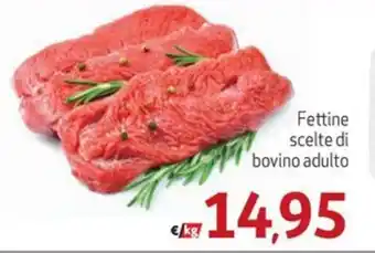 Eurospesa Fettine scelte di bovino adulto offerta