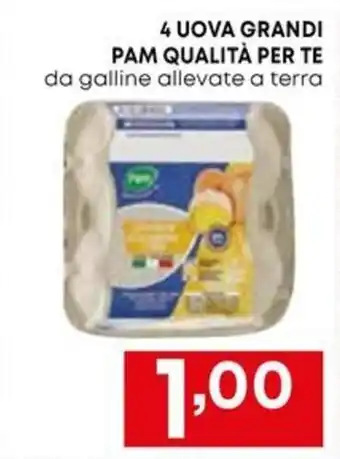 Kanguro 4 UOVA GRANDI PAM QUALITÀ PER TE da galline allevate a terra offerta