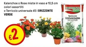 Iper La Grande Orizzonte Verde Terriccio Universale 45 L offerta