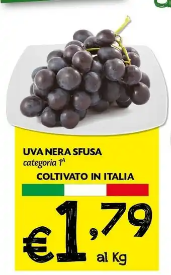 Pam Uva Nera Sfusa offerta