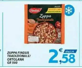 Vivo Supermercati Findus Zuppa Tradizionale Con Avena Integrale 500 G(ml) offerta