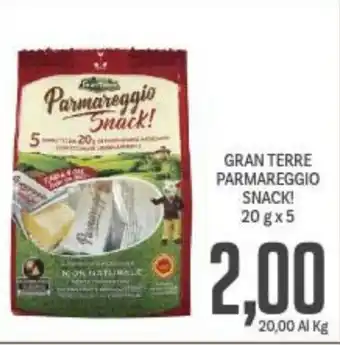 Supermercati Piccolo GRAN TERRE PARMAREGGIO SNACK! 20 g x 5 offerta