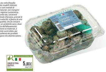 Conad Conad Lumache Di Terra Rigatelle offerta