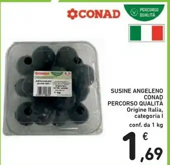 Conad Conad Percorso Qualità Susine Angeleno offerta