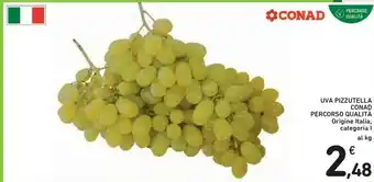 Conad Conad Percorso Qualità Uva Pizzutella offerta