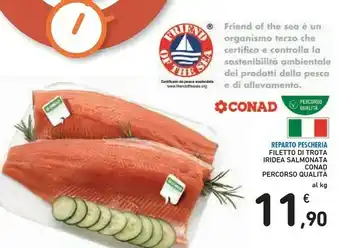 Filetto Di Trota Iridea Salmonata Percorso Qualità