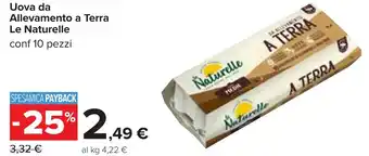 Carrefour Uova da Allevamento a Terra Le Naturelle offerta