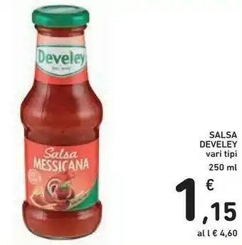 Conad Develey Salsa Messicana 250 G(ml) offerta