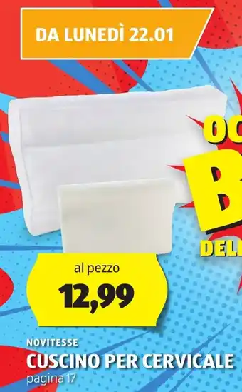 ALDI NOVITESSE CUSCINO PER CERVICALE pagina 17 offerta