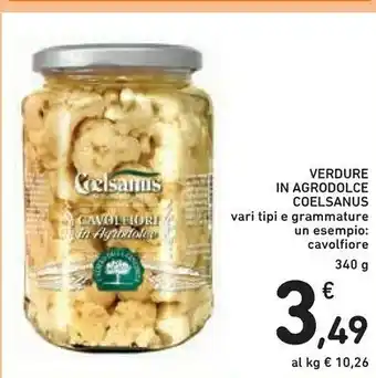 Coelsanus Verdure In Agrodolce