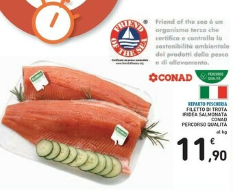 Conad Filetto Di Trota Iridea Salmonata offerta