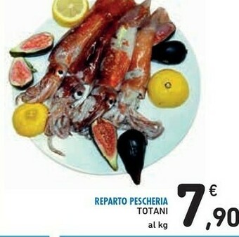 Conad Totani offerta