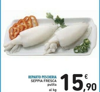 Conad Seppia Fresca Pulita offerta