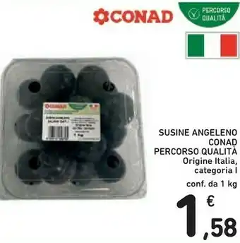 Conad Conad Susine Angeleno Percorso Qualità offerta